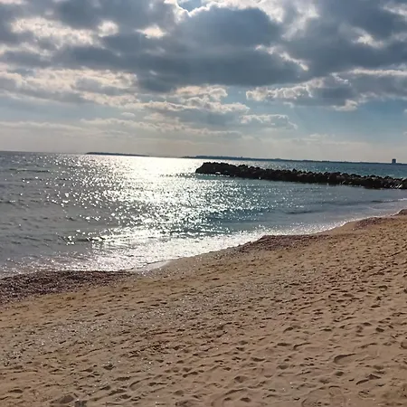 тристаен еуфория, влас Szveti Vlasz