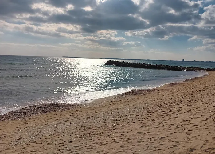 тристаен еуфория, влас Szveti Vlasz