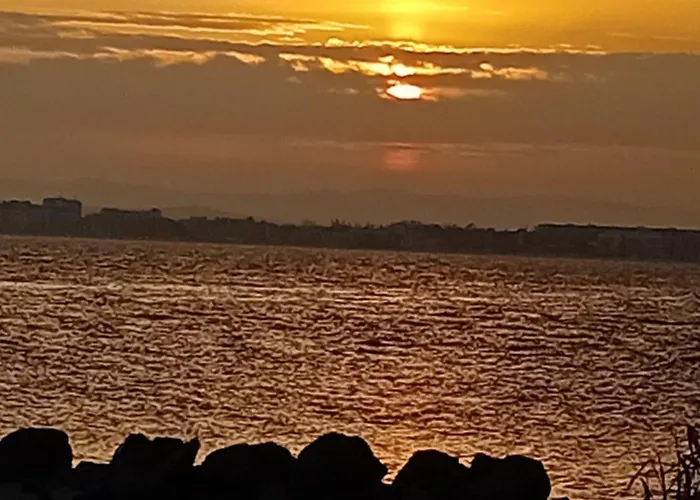 Apartman тристаен еуфория, влас