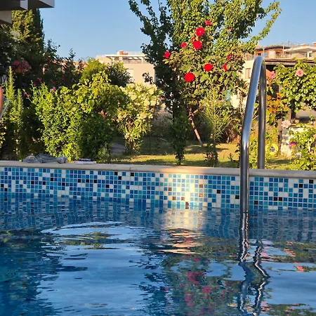 тристаен еуфория, влас